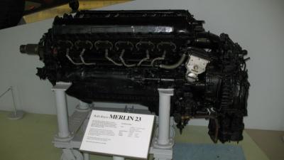 merlin23.jpg